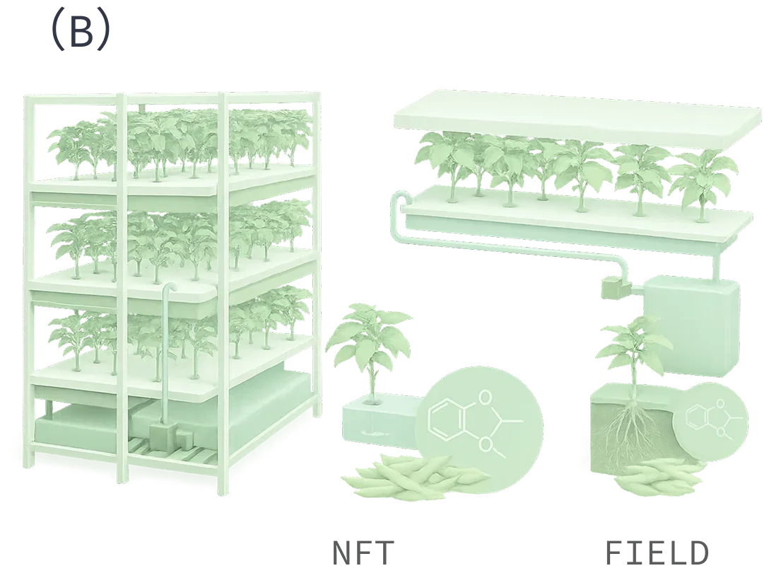 Our Technology infographic B