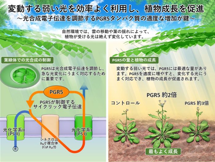 東京大学公表研究図(原画像)